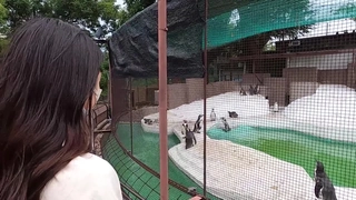 研修中の女子新入社員に突撃・野球拳！ 岡部美穂