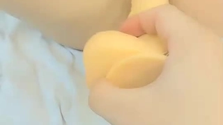 相马茜种子