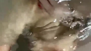 宿舍里的同学像上次一样糟透了